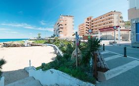 074 Tropical Paradise - Alicante Holiday